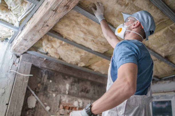 Best Attic Insulation Installation  in Skokie, IL