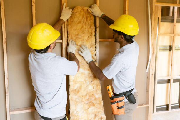 Best Professional Insulation Contractor  in Skokie, IL