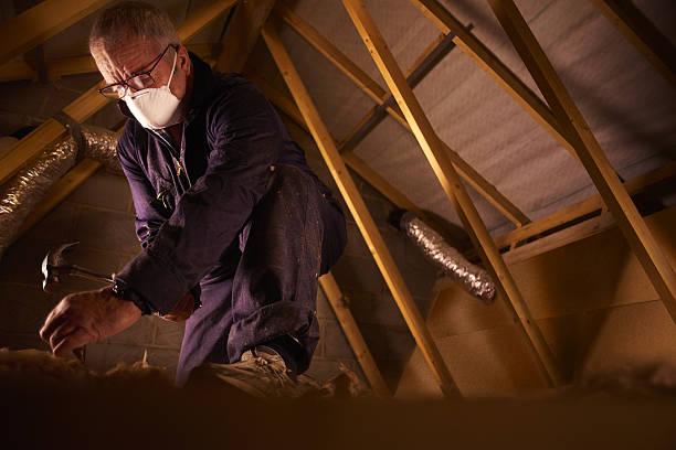 Best Insulation Removal  in Skokie, IL