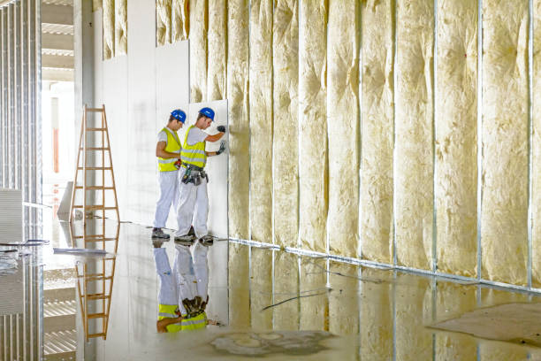 Best Commercial Insulation Contractor  in Skokie, IL